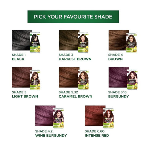 Garnier [1 Natural black] hair color 60+70gm (India)